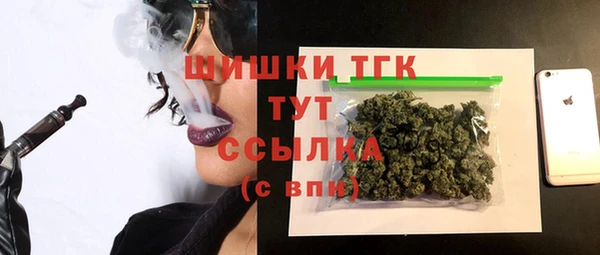 тгк Арсеньев