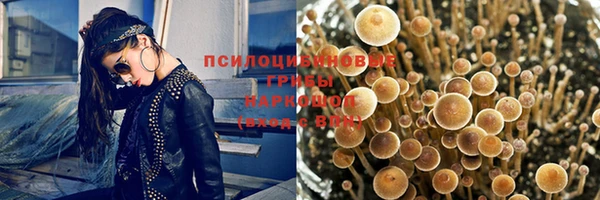тгк Аркадак