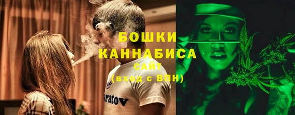 тгк Арсеньев