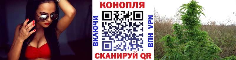 мориарти как зайти  Голицыно  Бошки марихуана OG Kush  мега ссылки 